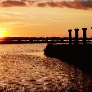 https://le-saline-bed-breakfast.emilia-romagnahotels.net